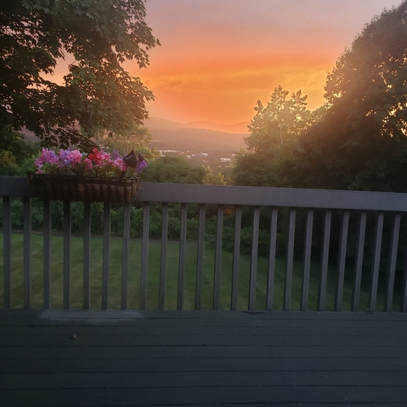 Meet your Posher, Posh - Picture 1 of 1